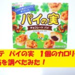 ロッテ　パイの実　カロリー